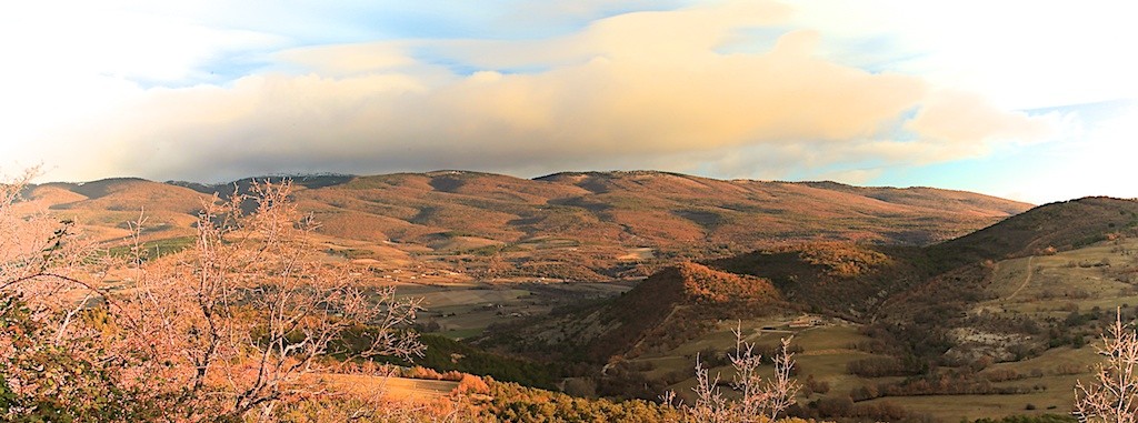 Winter Provence