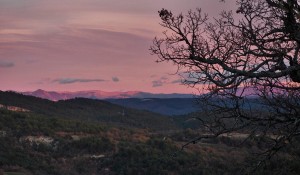 Copyright: Christophe Bessaudou Provence photo tours near Forcalquier