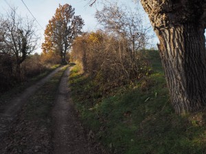 Copyright: Christophe Bessaudou Provence photo tours near Forcalquier