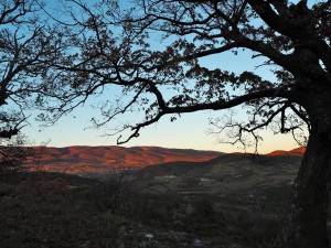 Copyright: Christophe Bessaudou Provence photo tours near Forcalquier