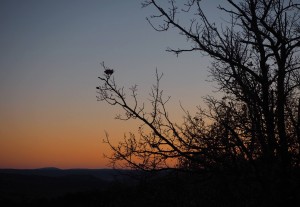 Copyright: Christophe Bessaudou Provence photo tours near Forcalquier