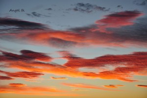 Copyright: Angel Ik Provence photo tours near Forcalquier