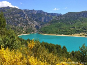 Provence in May